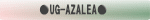 ●UG-AZALEA● 